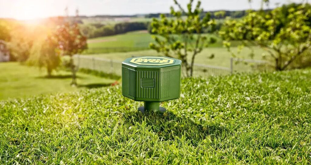 Bekæmpelse af mosegris