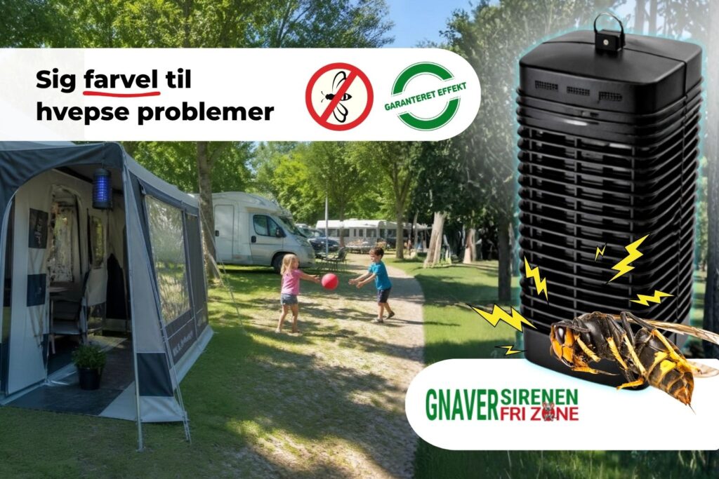 Bekæmpelse af hvepse